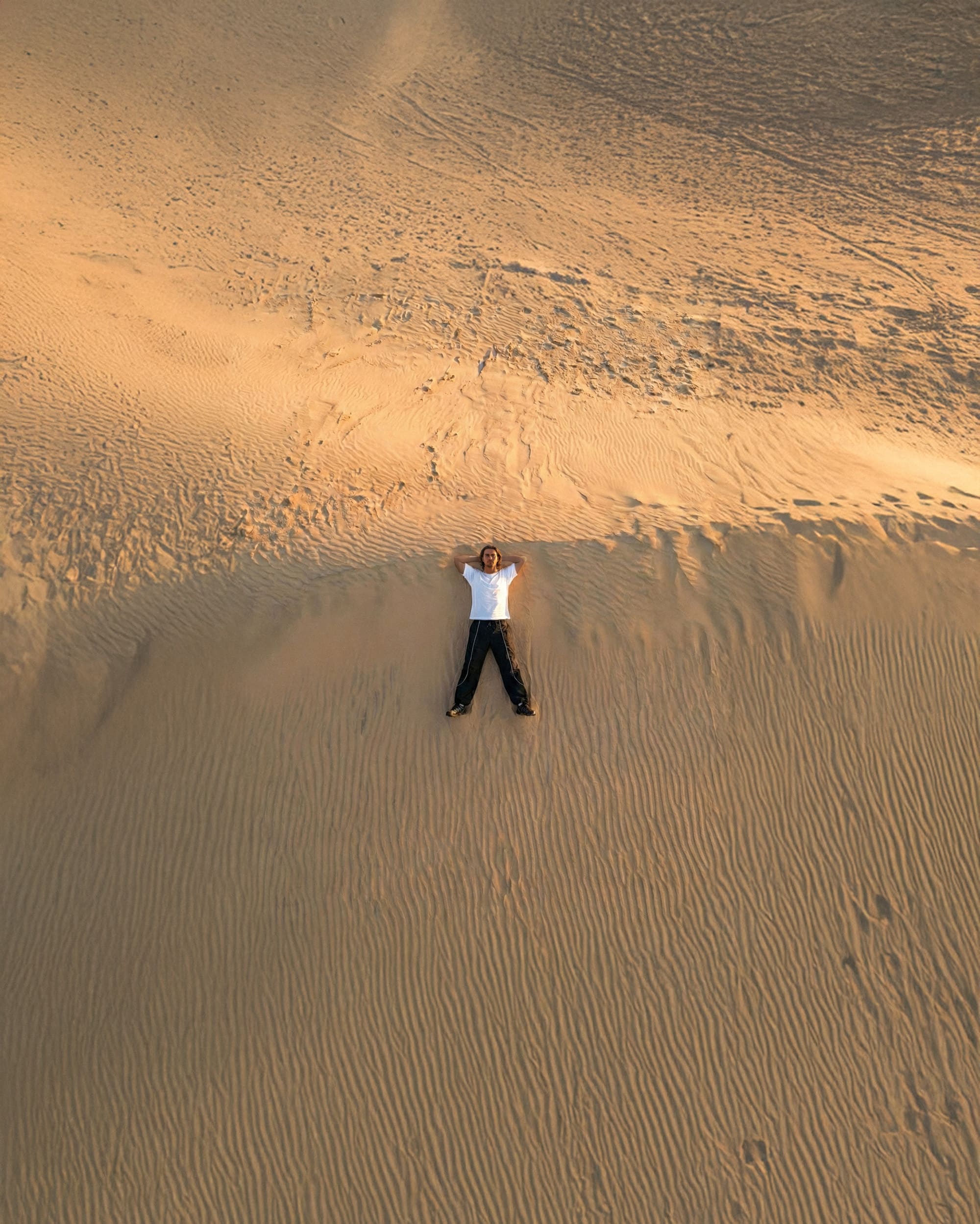 2026: Vores Forudsigelse